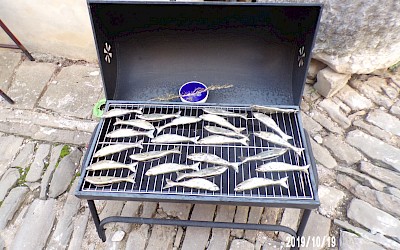 Izlet v Istro sobota 19.10.2019