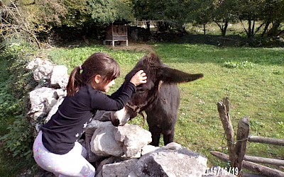 Izlet v Istro sobota 19.10.2019