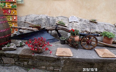 Izlet v Istro sobota 19.10.2019