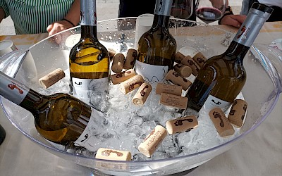 Osjeti Hrvatsku, Ljubljana, Pogačarjev trg, sobota 24.06.2023 SHDS & HKD Velenje & Vinarija Povratak