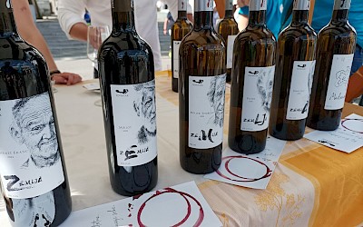 Osjeti Hrvatsku, Ljubljana, Pogačarjev trg, sobota 24.06.2023 SHDS & HKD Velenje & Vinarija Povratak