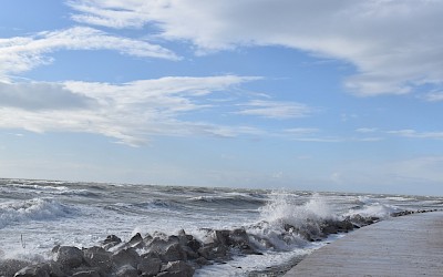 HKD Velenje izlet u TRST - 02.12.2023