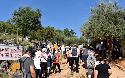 HKD Velenje hodočašće u Međugorje od 06.06.2024 do 09.06.2024