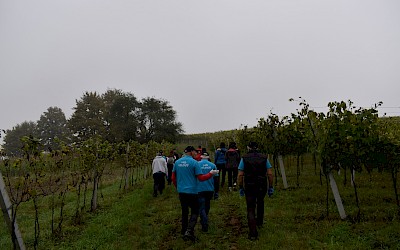 HKD Velenje & Vinarija Povratak & HKUD "Naša baština" Globarica, Žepče, dana 20.09-22.09.2024