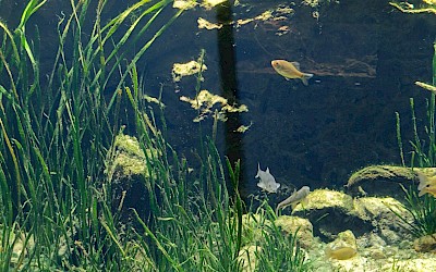 Upoznaj Hrvatsku, Krapina i Karlovac - 20.09.2025