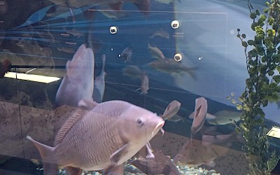 Upoznaj Hrvatsku, Krapina i Karlovac - 20.09.2025