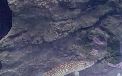 Upoznaj Hrvatsku, Krapina i Karlovac - 20.09.2025